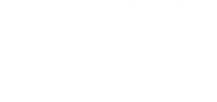 BNI Multifinance