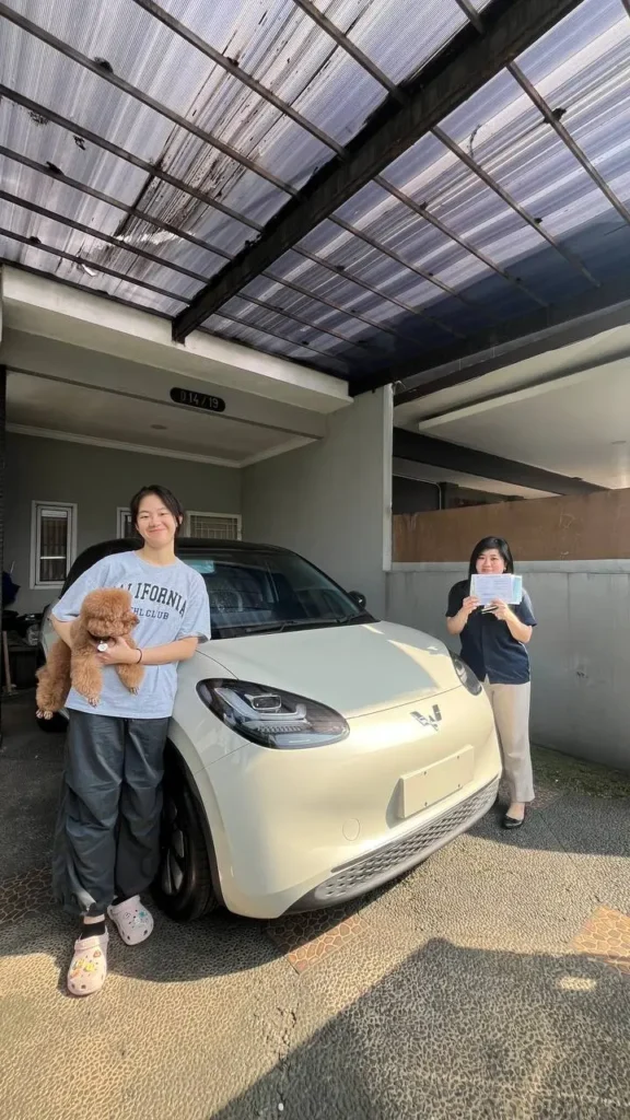 Fleet Delivery Wuling Binguo EV